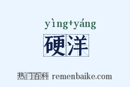 硬洋是什么意思的图片